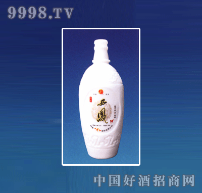 BL-JP138ƿϵ500ml