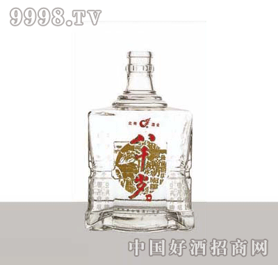 BL-JP539ײƿ500ml