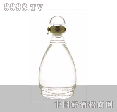 BL-JP646ײƿ500ml